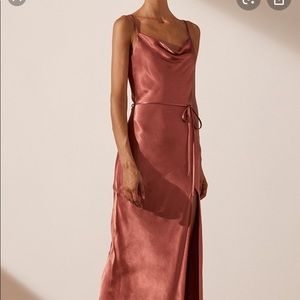 Shone Joy La Lune Bias Cowl Maxi Dress